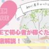 DXLIVEのチャットレディで稼ぐ方法｜初心者向け稼ぎ方とコツを徹底解説【2025年最新】
